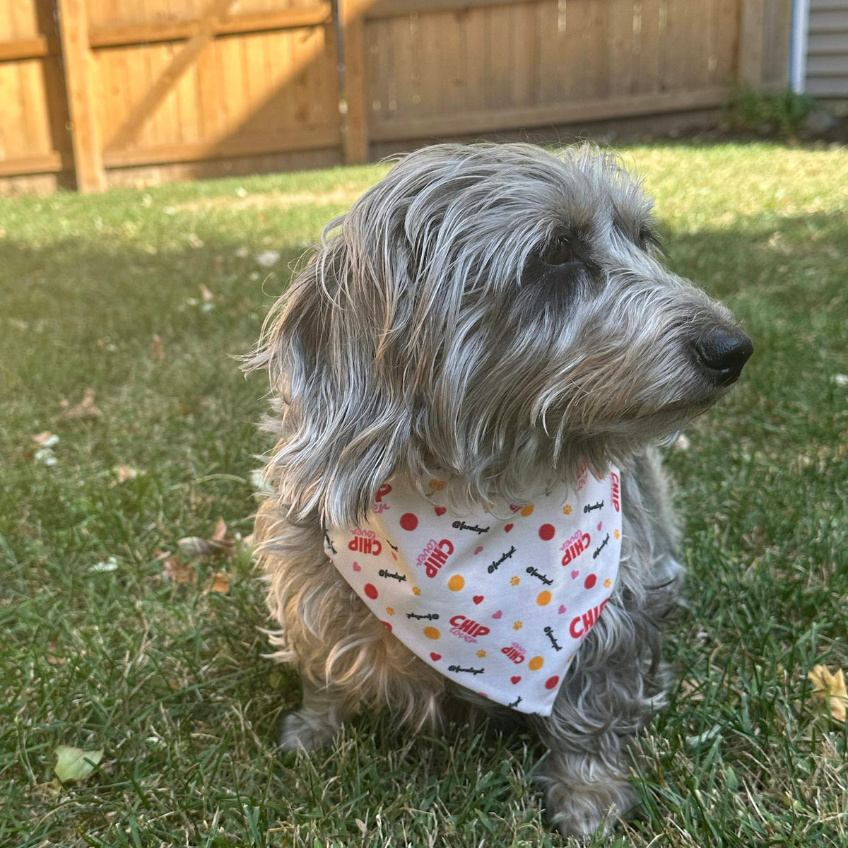 Tie-on Dog Bandana | Adjustable String-tie Bandana for Dogs and Cats ...