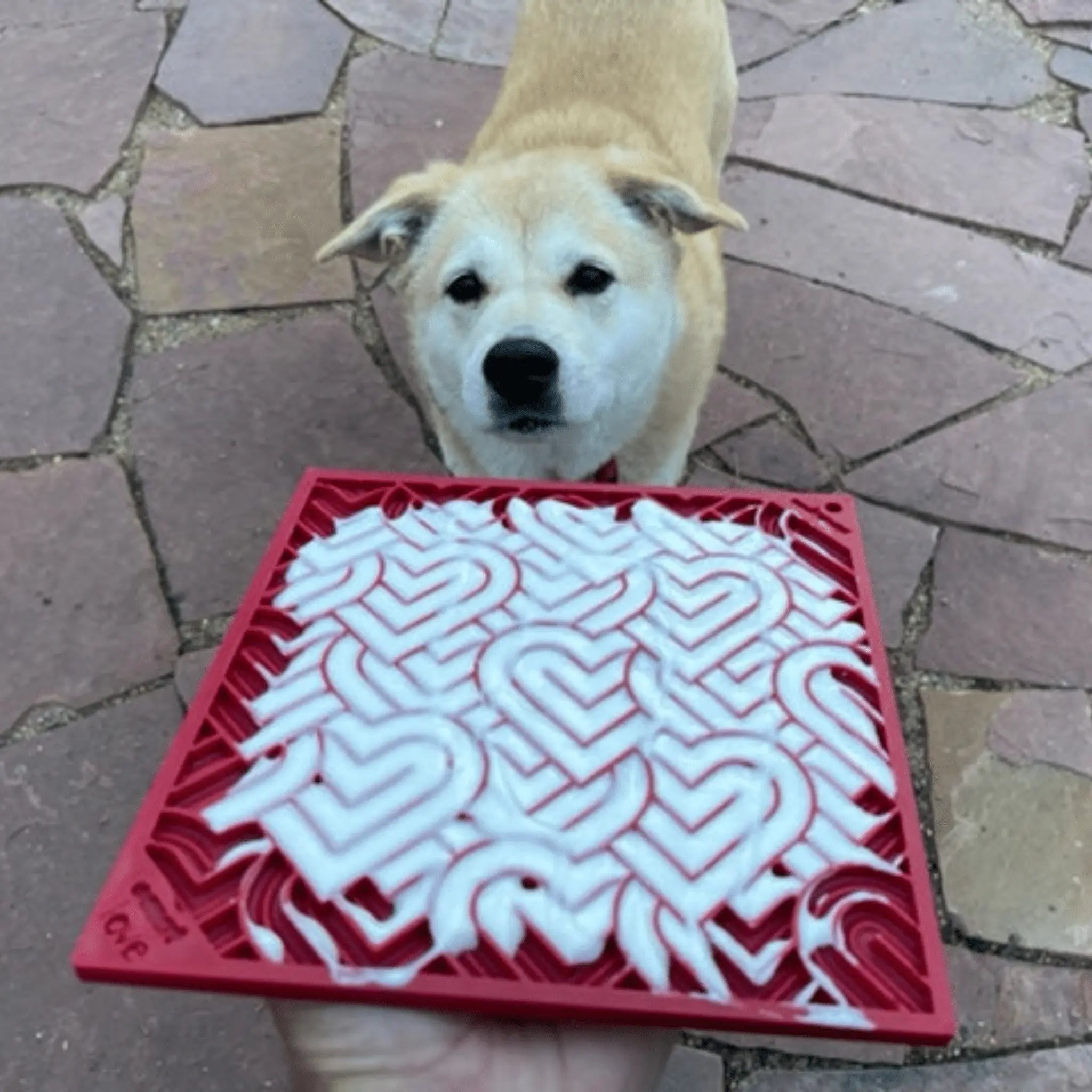 Dog Lick Mats Farm To Pet