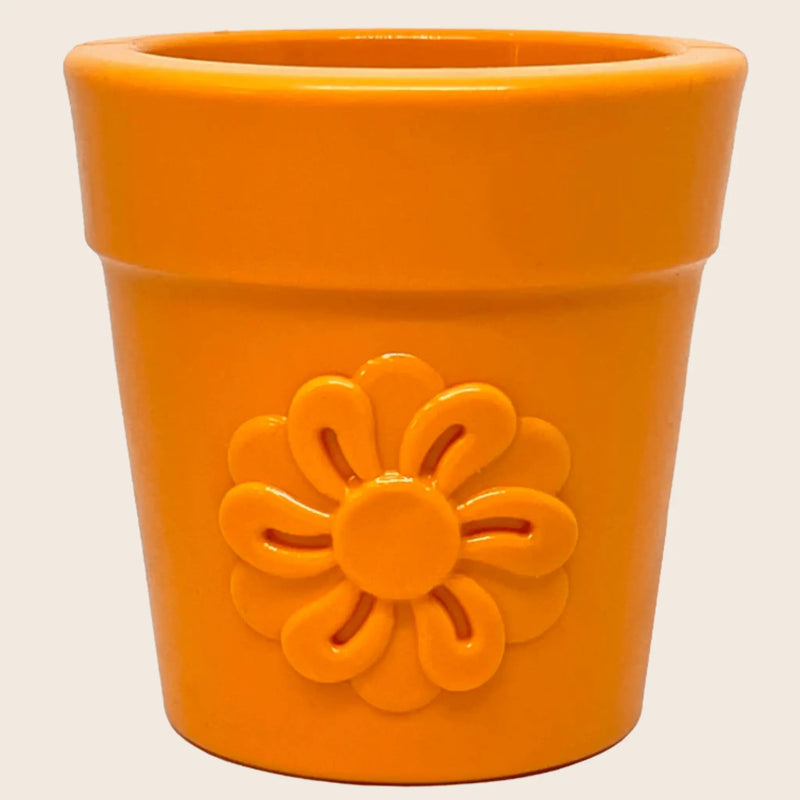 Dog Treat Dispensers