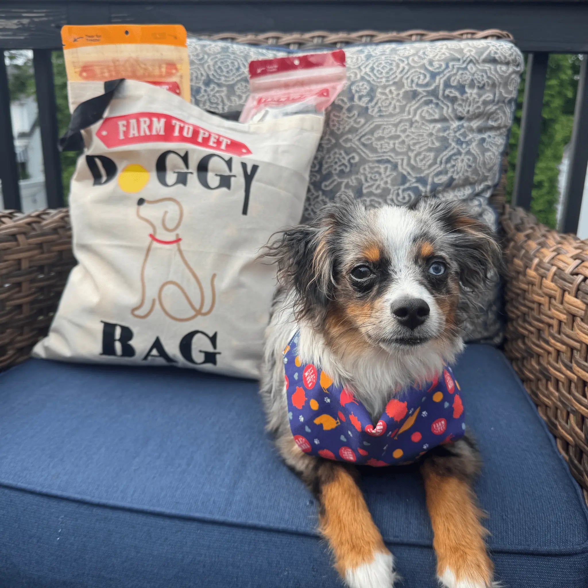 Farm To Pet Tote Bag | Paw-some Gift for Animal Lovers Farm To Pet