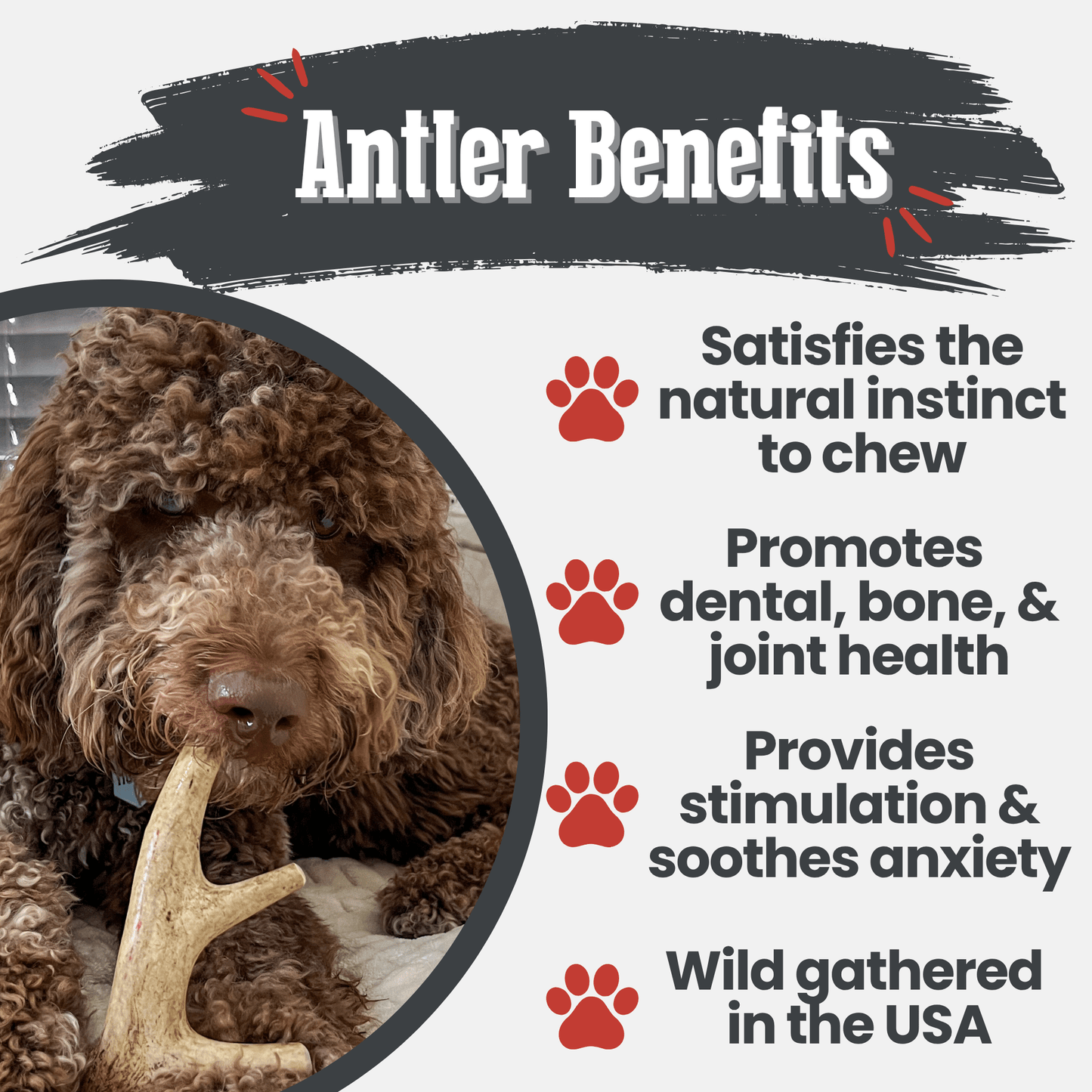 Deer Antler Dog Chews | Organic Chews for Dogs Farm To Pet