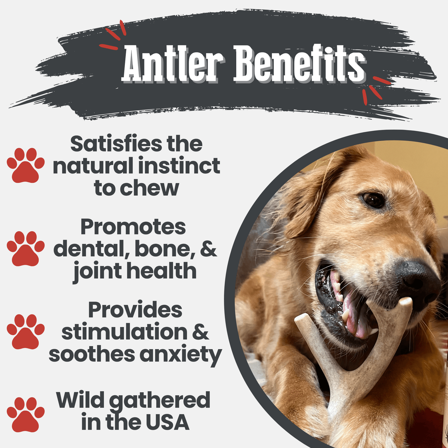 Deer Antler Dog Chews | Organic Chews for Dogs Farm To Pet