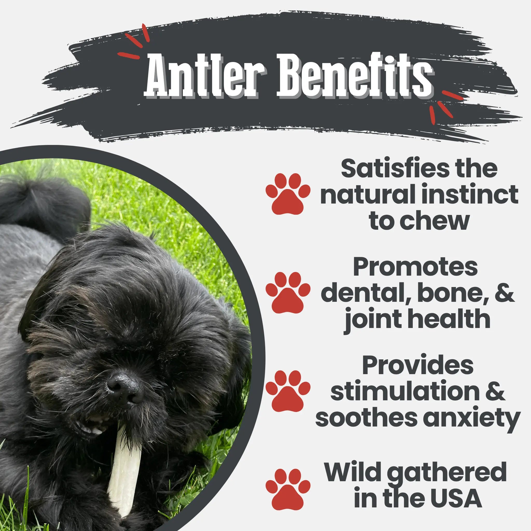 Reindeer Antler Dog Chews | Organic Chews for Dogs Farm To Pet