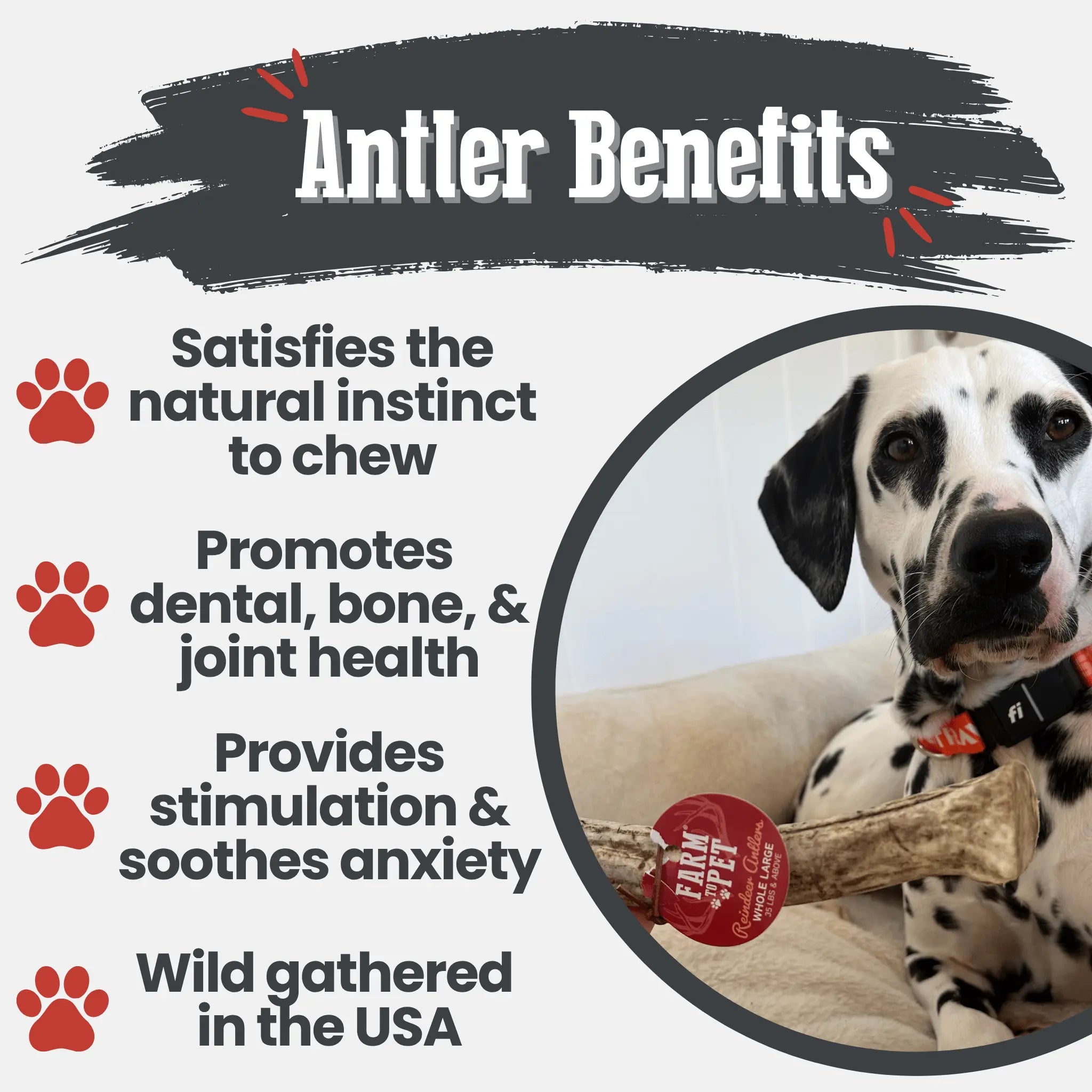 Reindeer Antler Dog Chews | Organic Chews for Dogs Farm To Pet