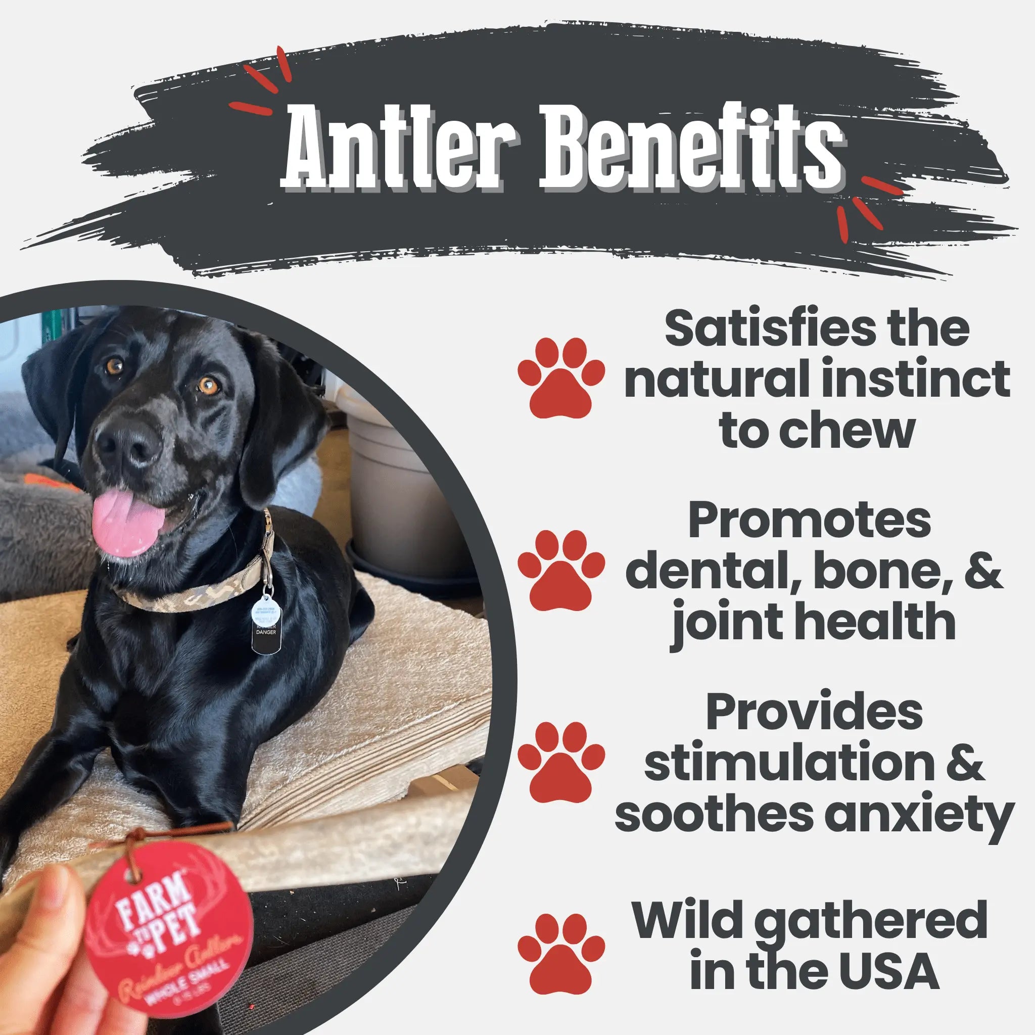 Reindeer Antler Dog Chews | Organic Chews for Dogs Farm To Pet