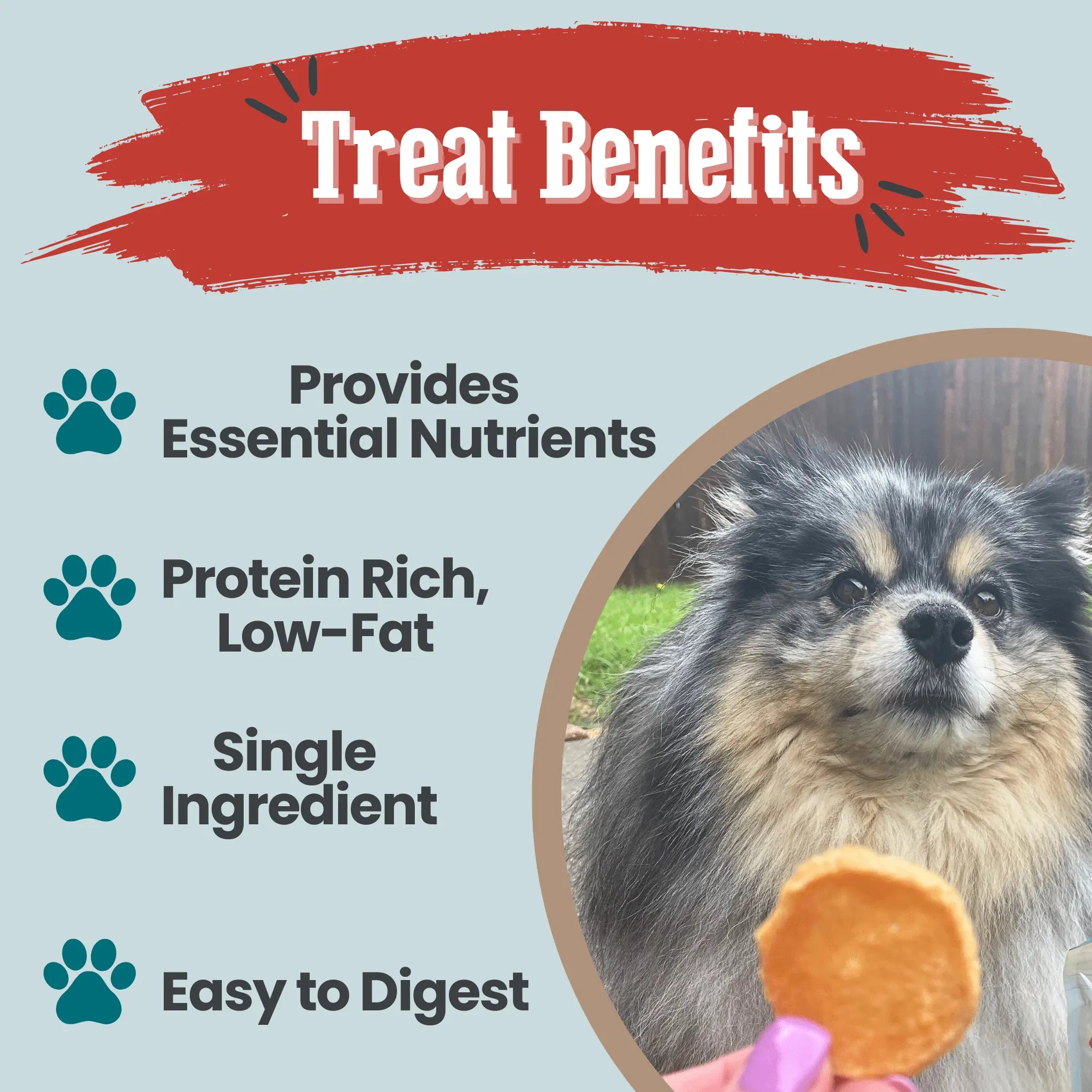 Fish Chips Snack Pack Bundles | Dog Treats for Training & Travel Farm To Pet