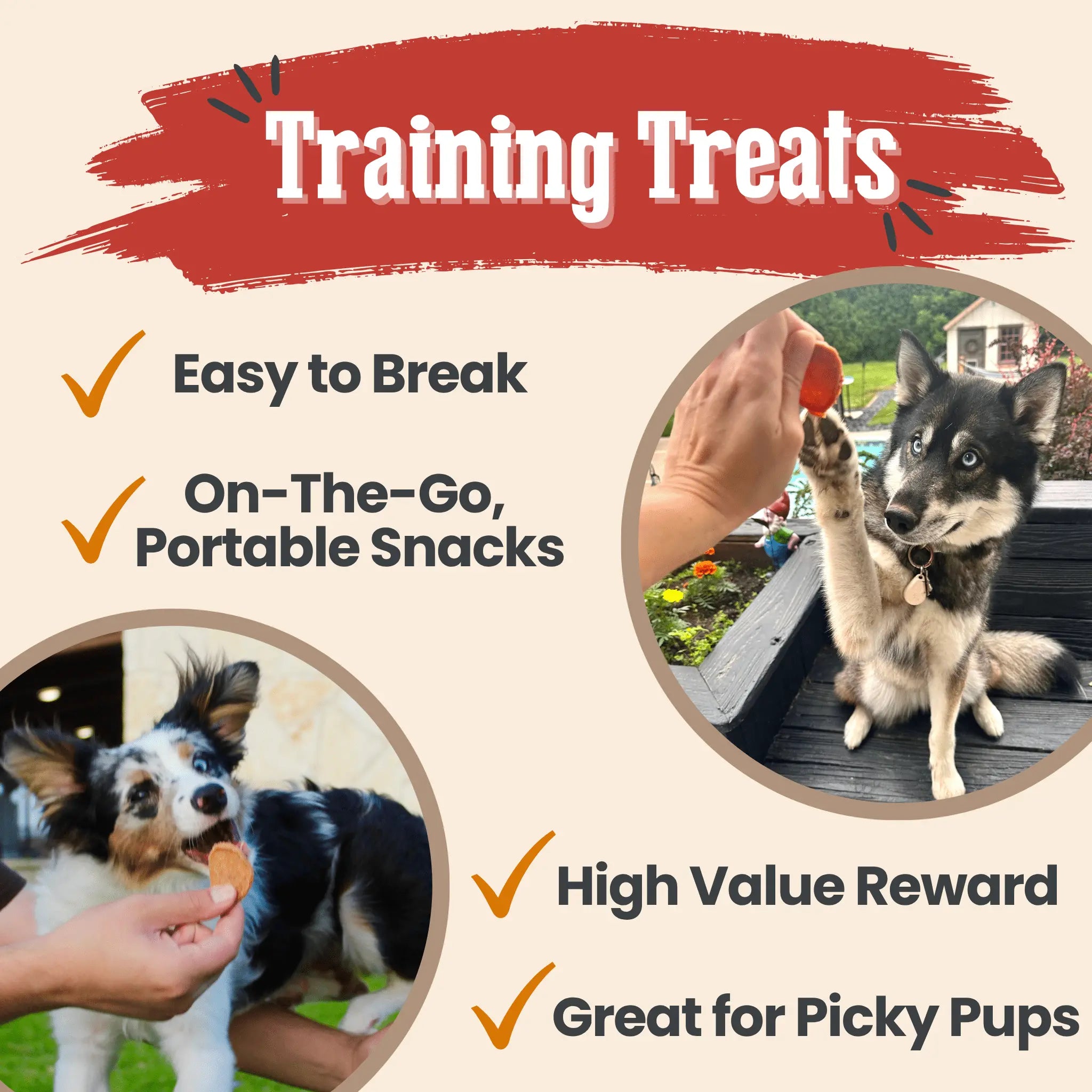 Turkey & Chicken Chip Dog Treat Duo | Single-Ingredient Poultry Treats for Dogs Farm To Pet