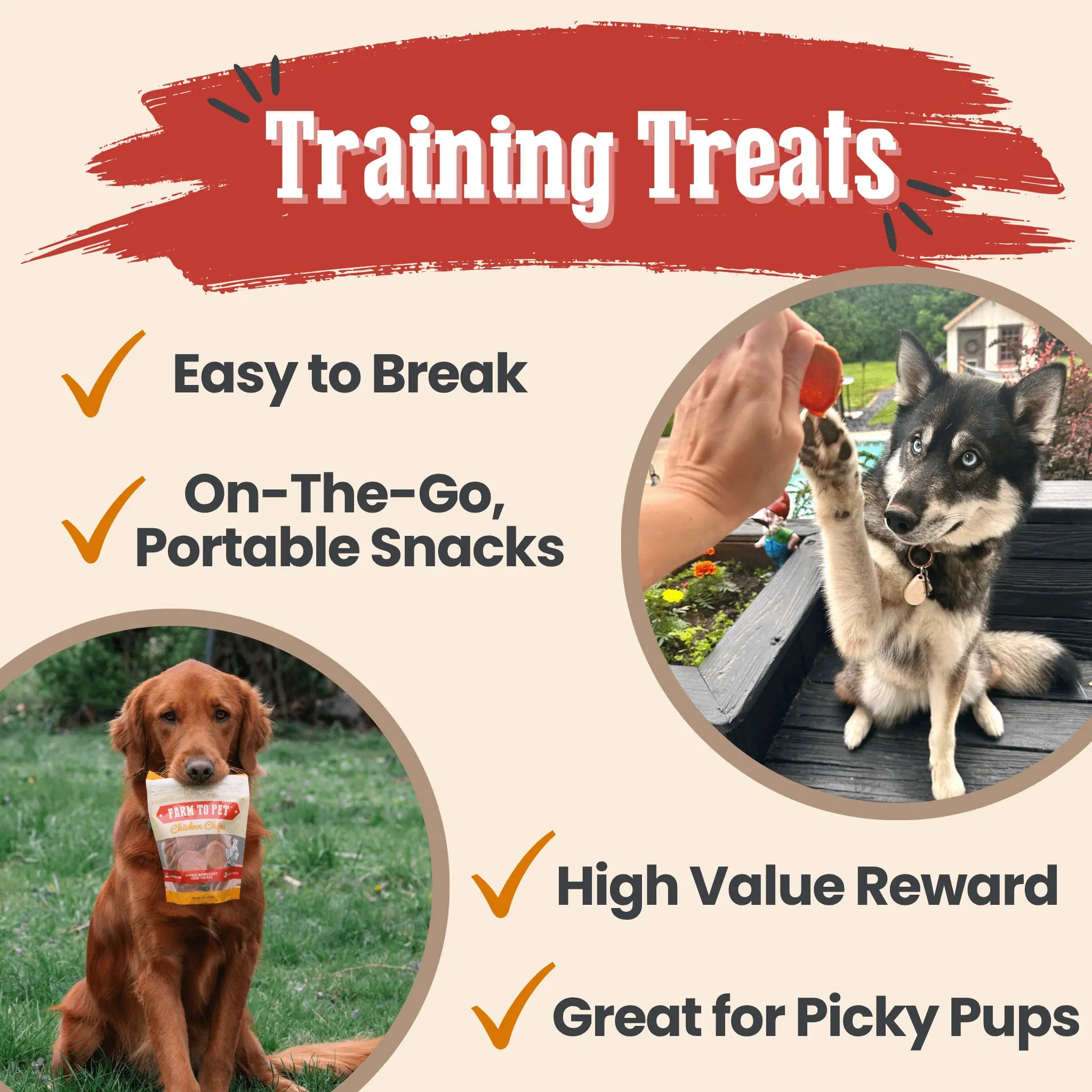 Turkey & Chicken Chip Dog Treat Duo | Single-Ingredient Poultry Treats for Dogs Farm To Pet