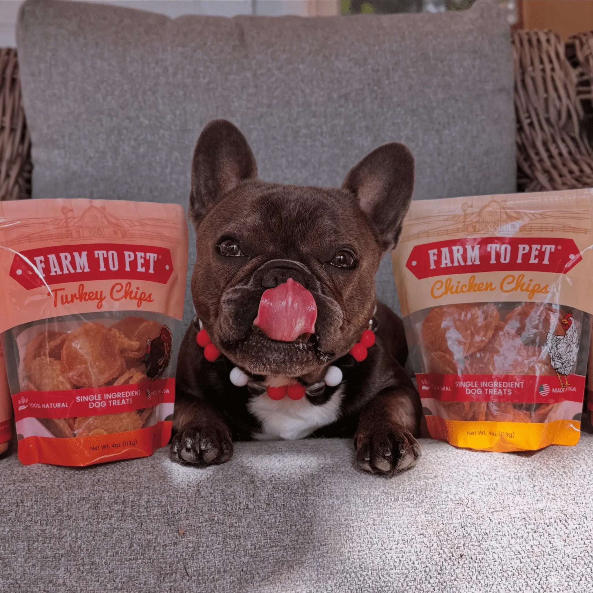 Turkey & Chicken Chip Dog Treat Duo | Single-Ingredient Poultry Treats for Dogs Farm To Pet