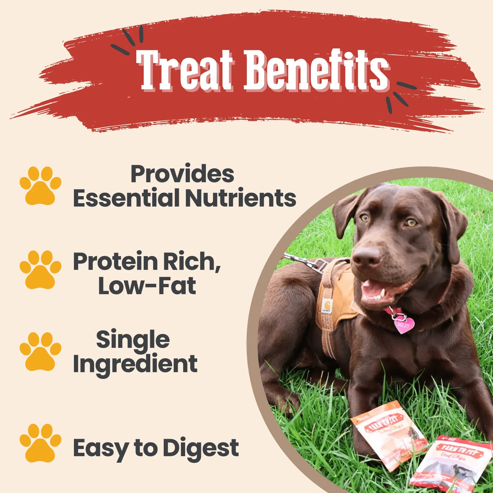 Snack Pack Dog Treat Sampler Farm To Pet