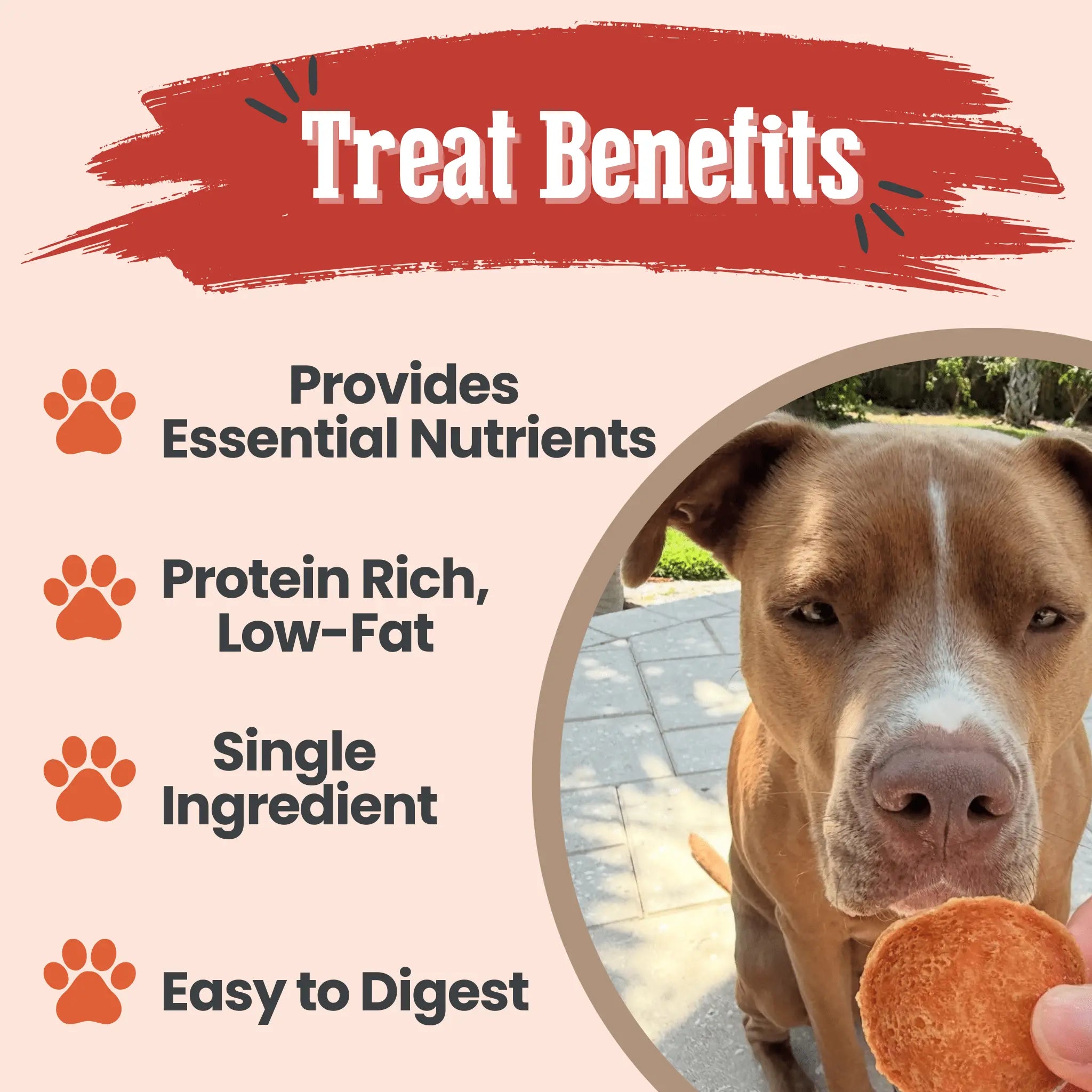 Turkey Chips for Dogs | All-Natural Single-Ingredient Healthy Dog Treats Farm To Pet