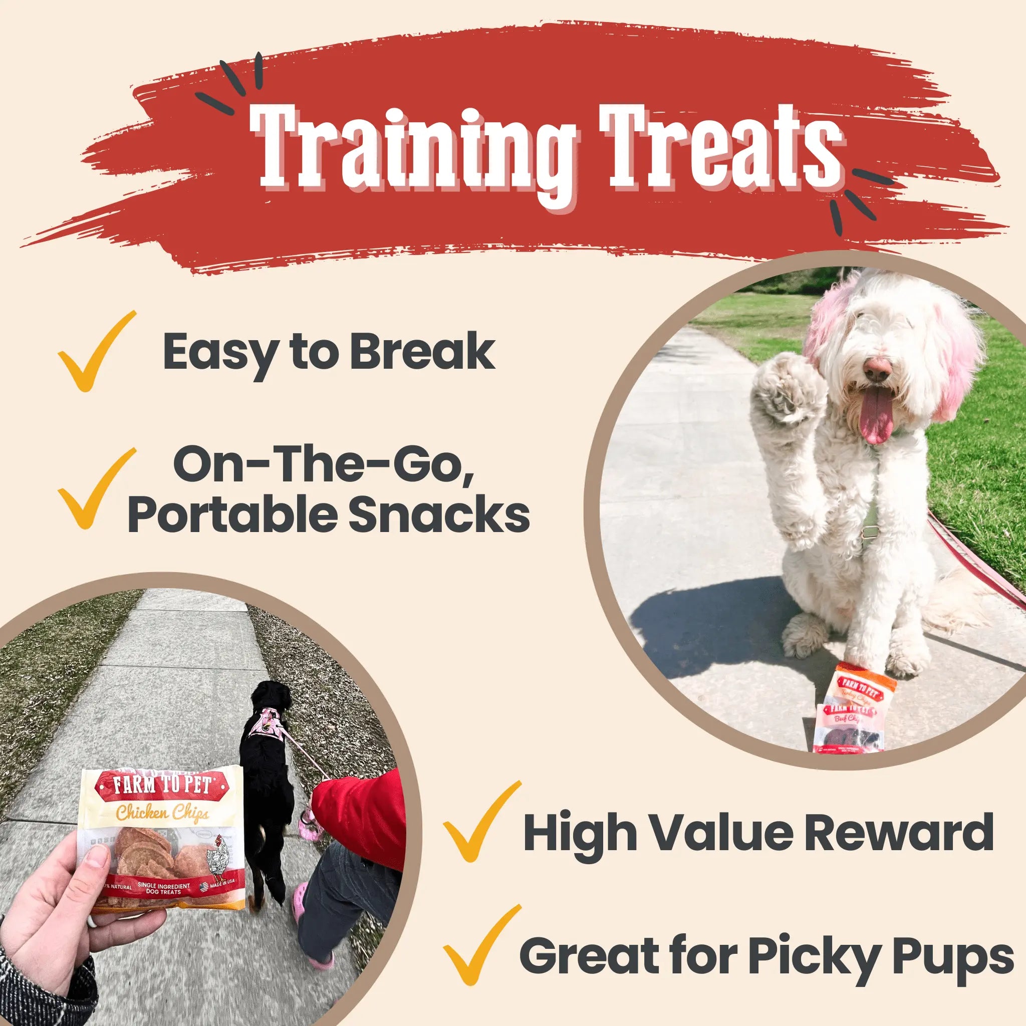Snack Pack Dog Treat Sampler Farm To Pet