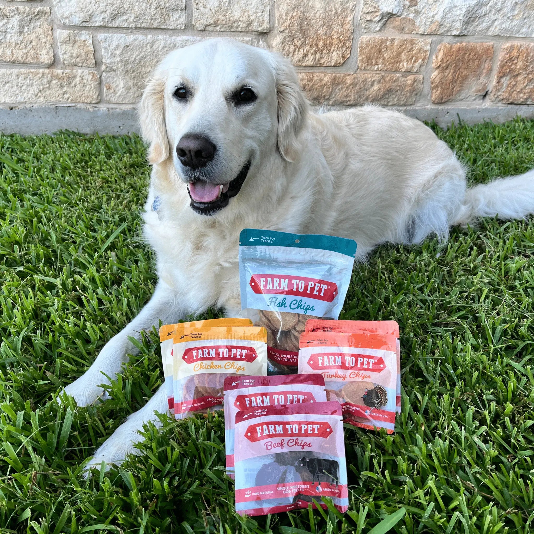 Puppy Packs 'n Snacks Dog Treat Starter Pack | Single-Ingredient Training Treats Farm To Pet