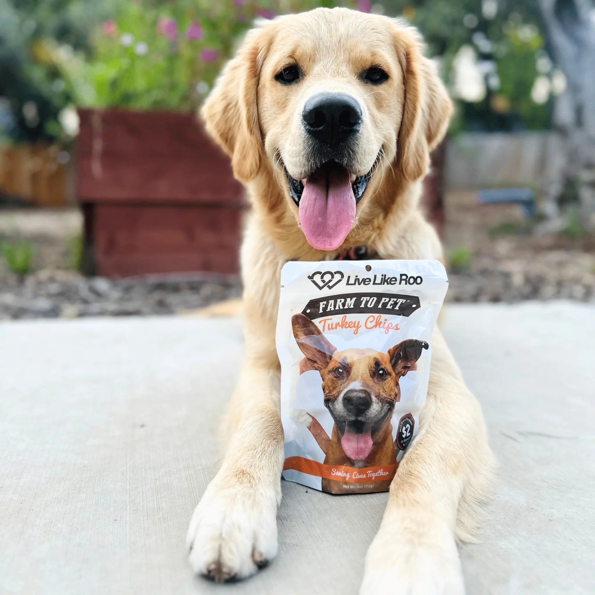 Live Like Roo Turkey Chips for Dogs | Dog Treats That Give Back Farm To Pet