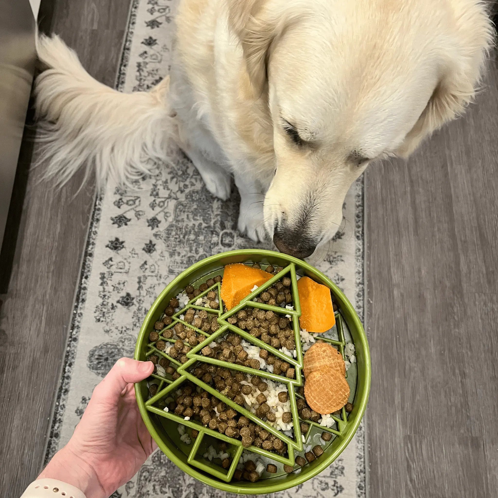 Slow Feeder Dog Bowls Farm To Pet