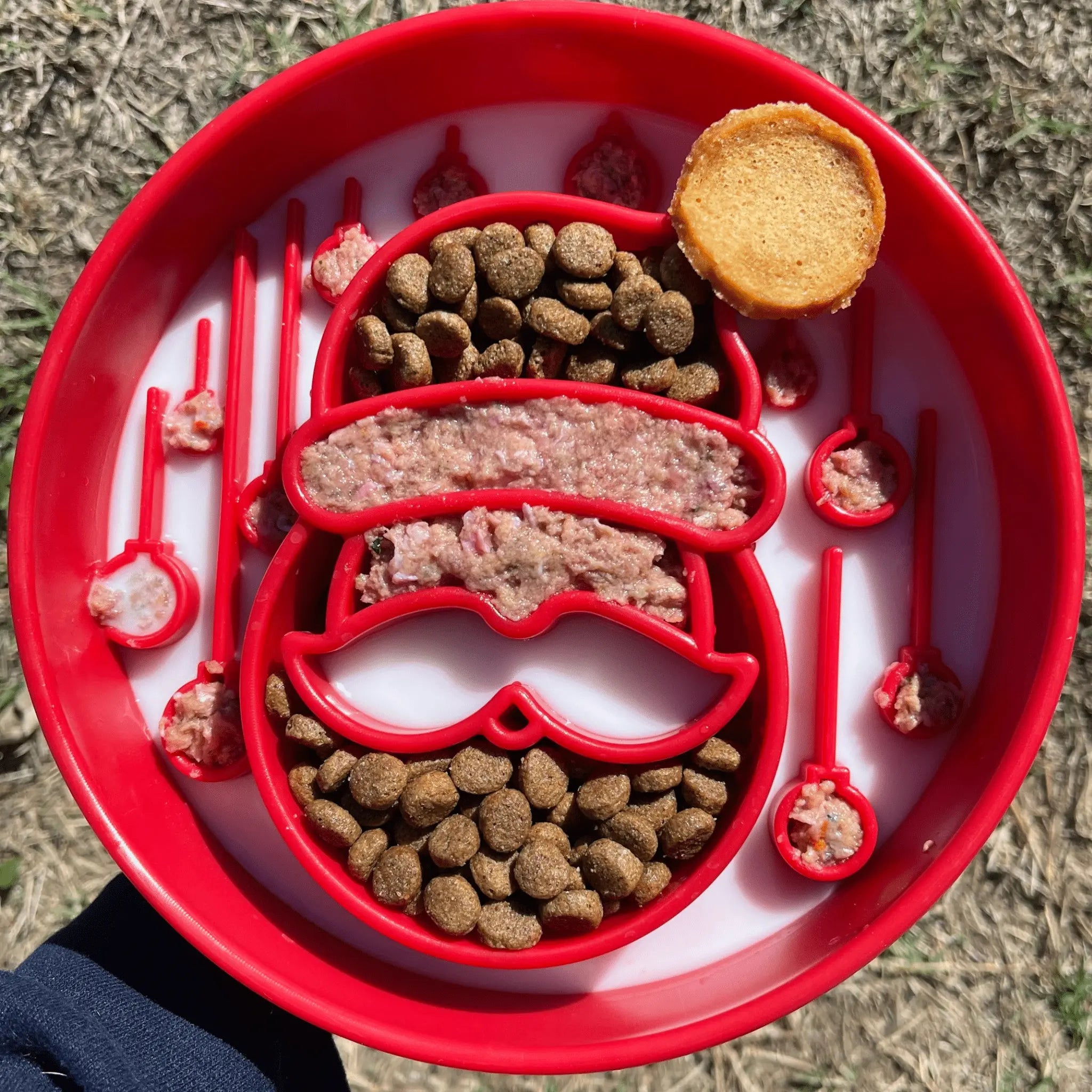 Slow Feeder Dog Bowls Farm To Pet