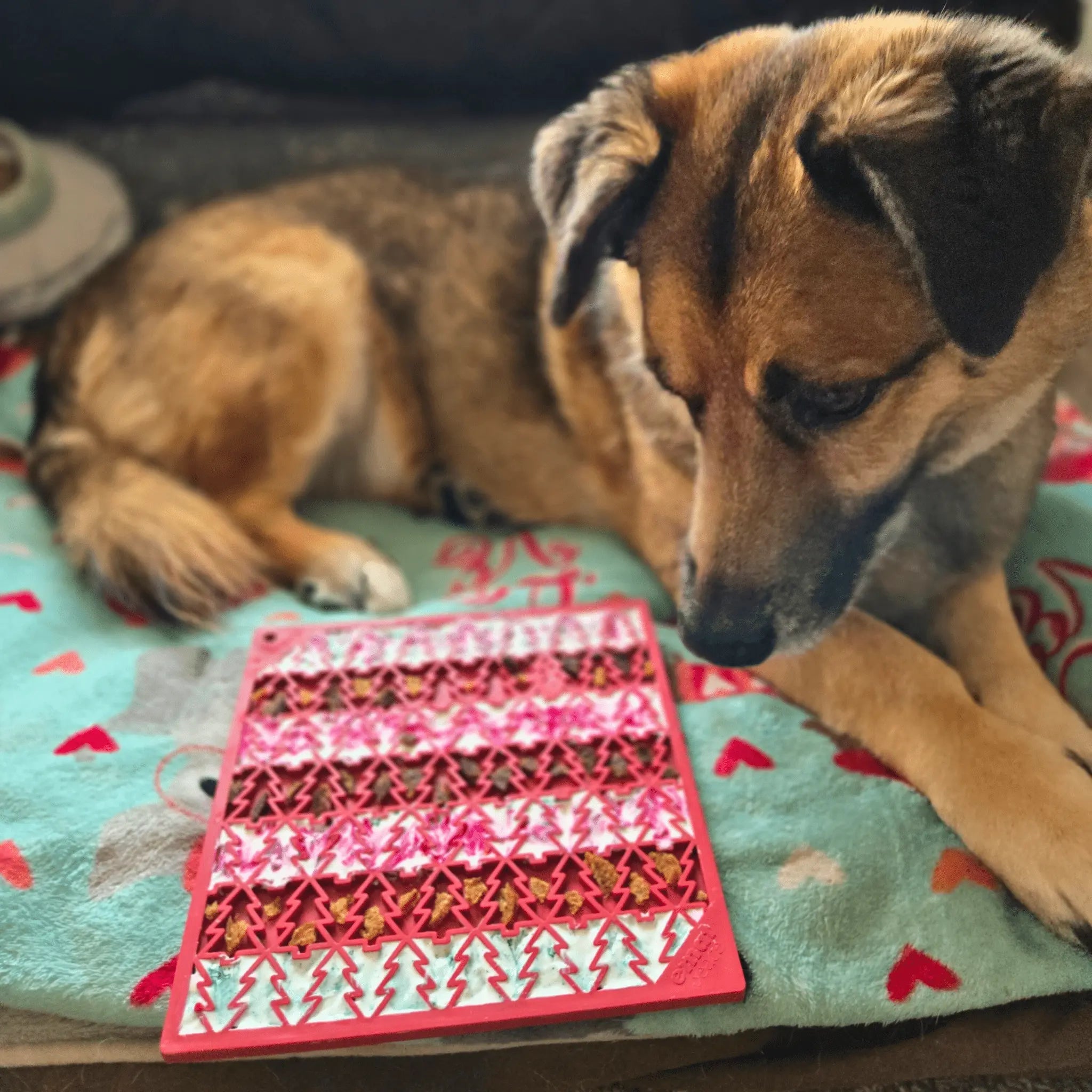 Dog Lick Mats Farm To Pet