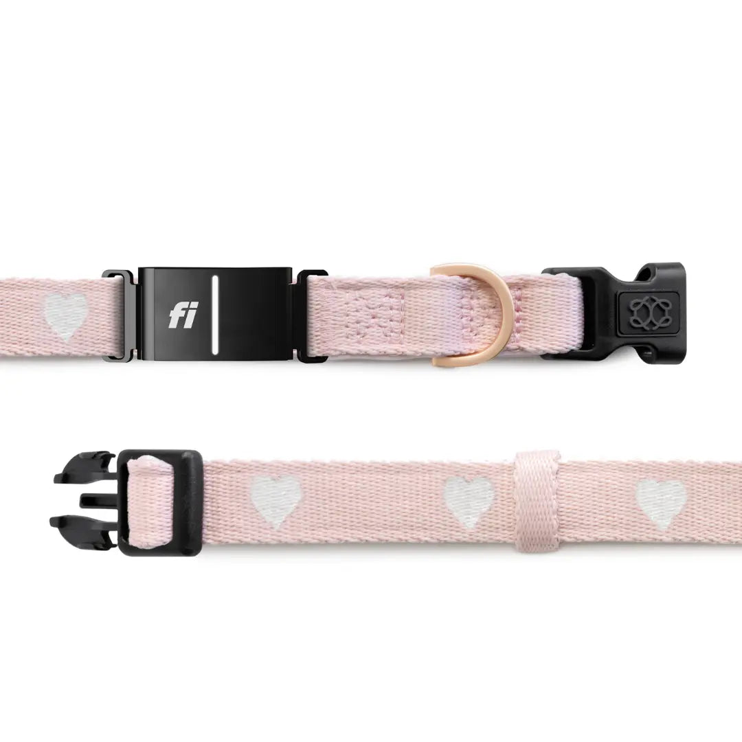 The DOGISTRY x Fi Sweetheart 3+ Collar Band Dogistry™