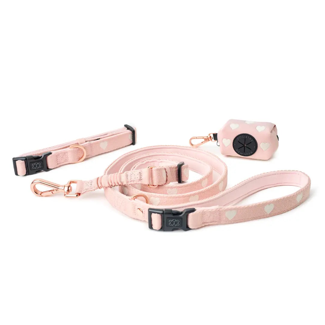 The DOGISTRY x Fi Sweetheart 3+ Collar Band Dogistry™