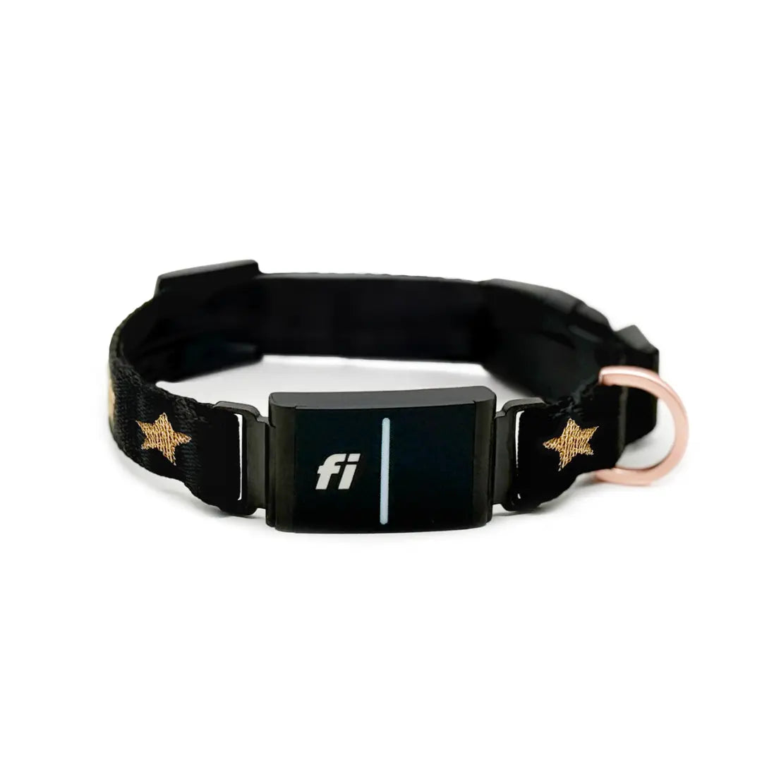 The DOGISTRY x Fi Rockstar 3+ Collar Band Dogistry™