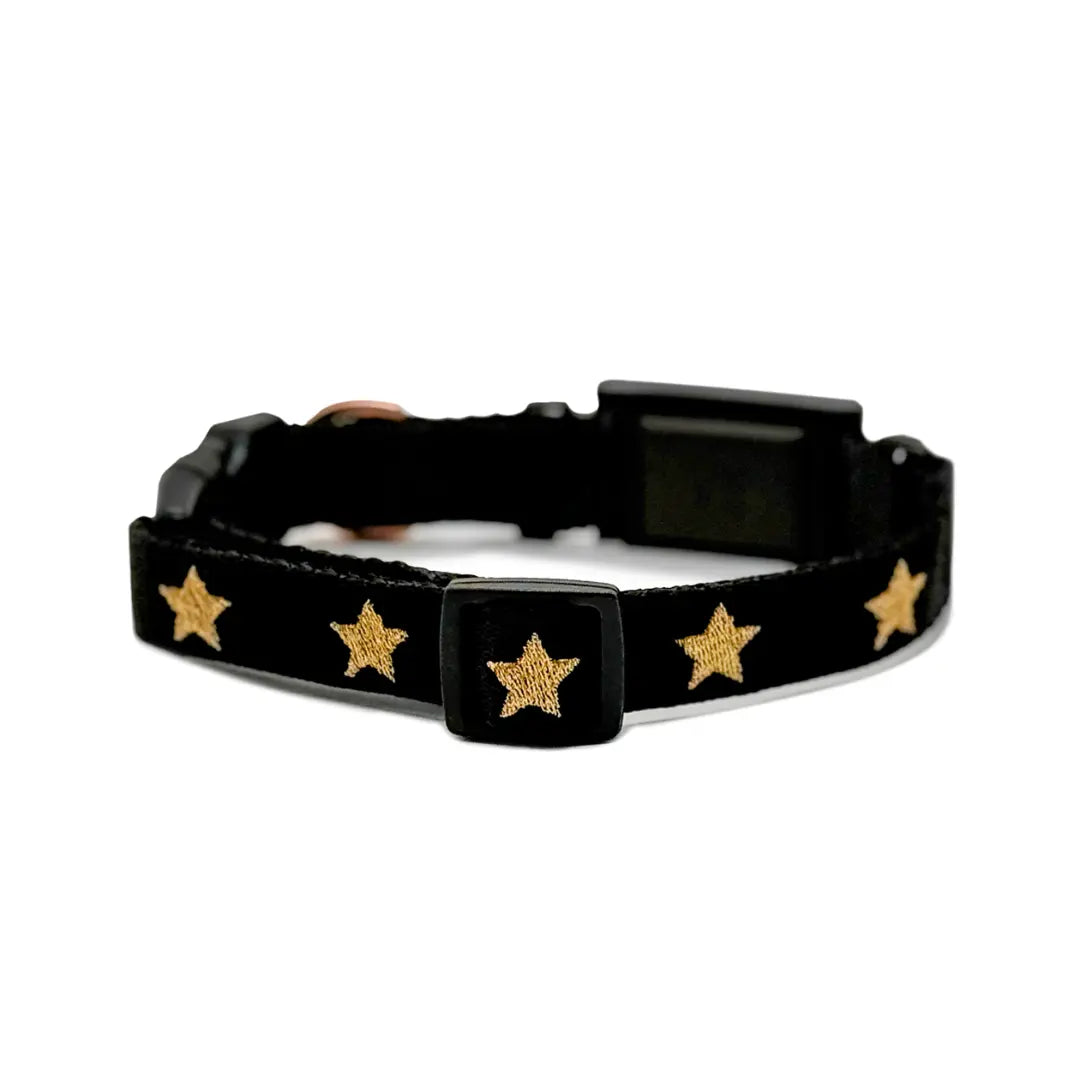 The DOGISTRY x Fi Rockstar 3+ Collar Band Dogistry™
