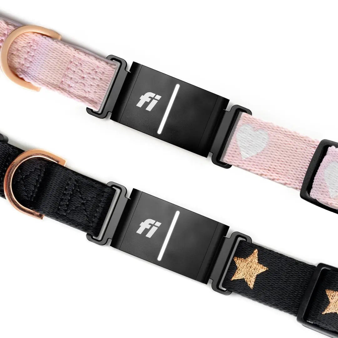The DOGISTRY x Fi Sweetheart 3+ Collar Band Dogistry™