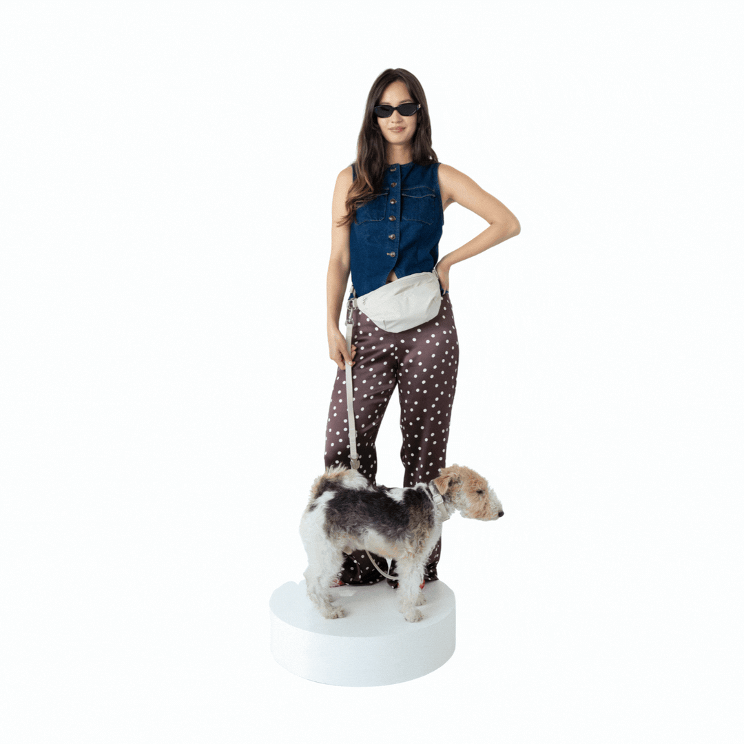 Hands-Free Dog Walking Bag with 4ft Leash