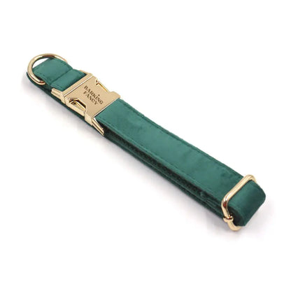 Velvet Holiday Walk Set - Fir Barking Fancy