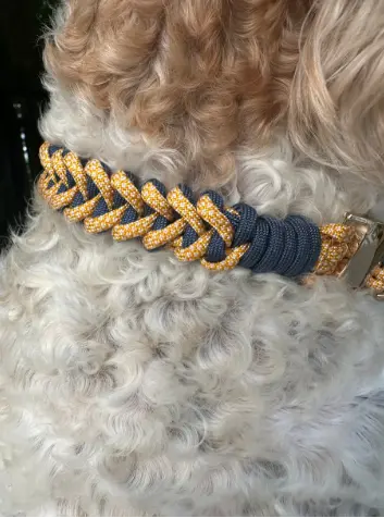 Fishtail Braid in Goldenrod & Navy - Handmade Dog Collar Pawsh Pup Co.