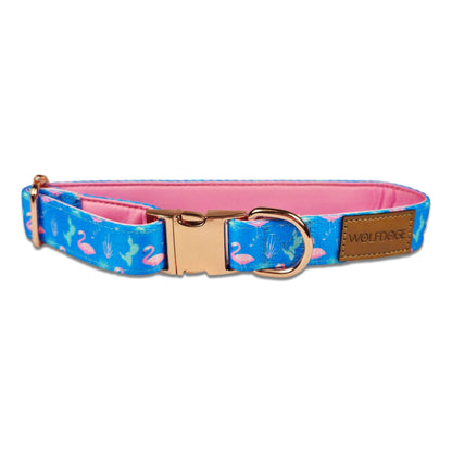Flamingo Fiesta Collar WOLFDOGE