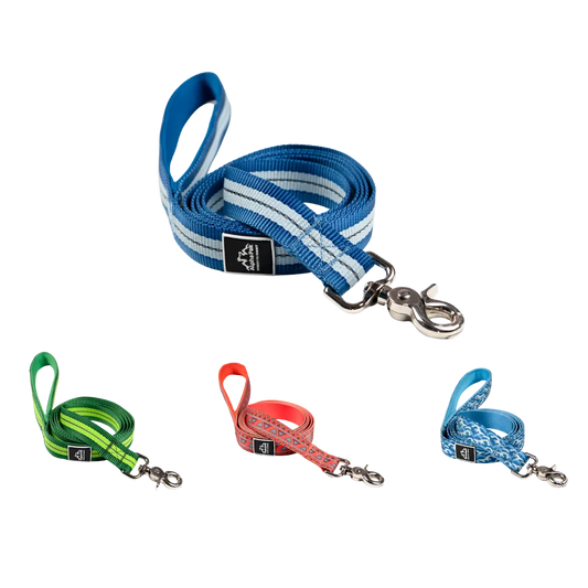 Classic Adventure Flat Dog Leash Alpha Pak