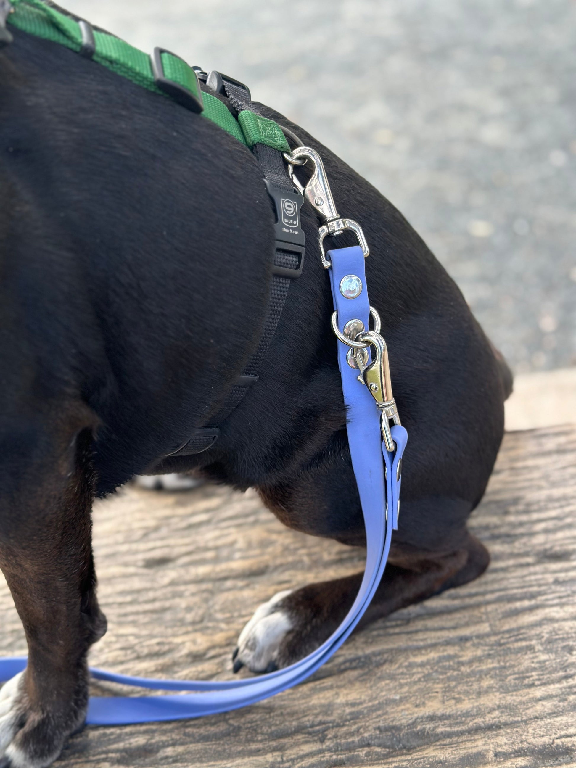 Eurolead - 8 Way Leash Ulti-Mutt Toys