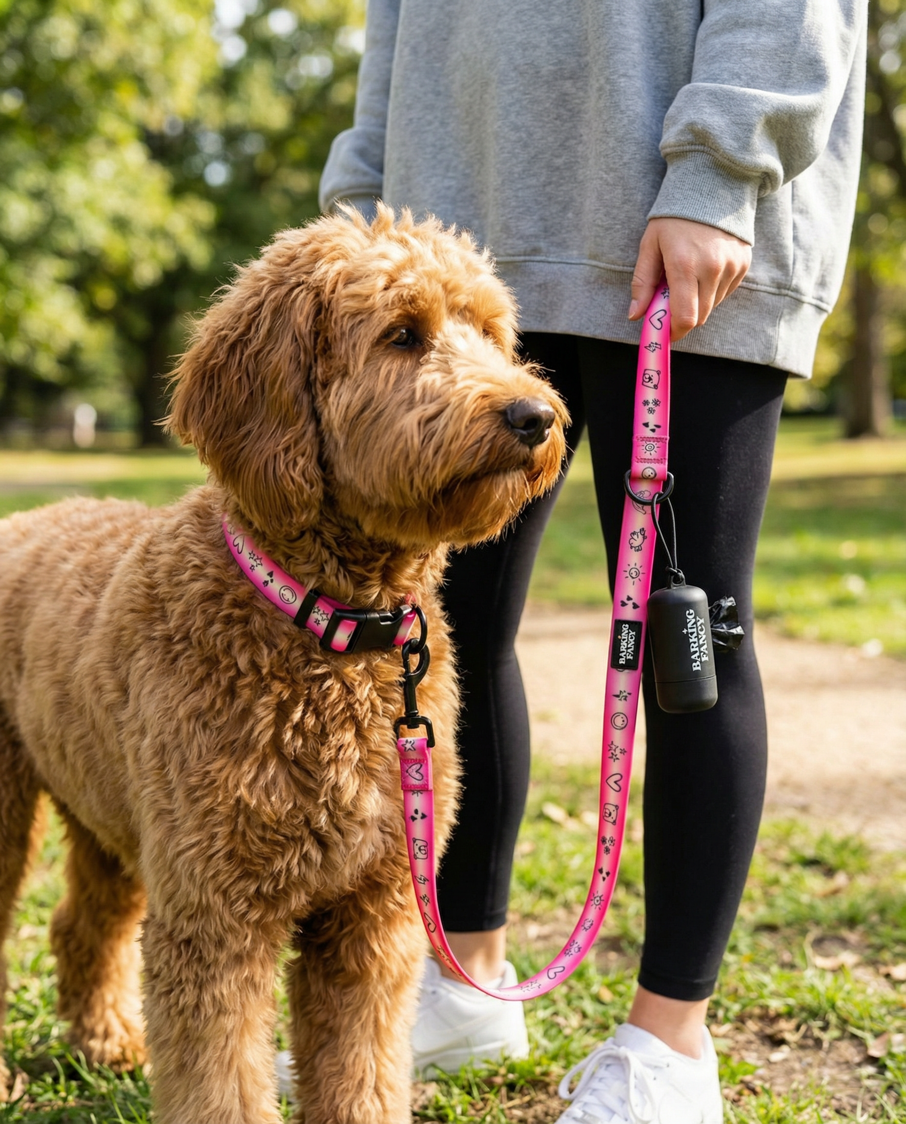 Doodles Print Waterproof Dog Leash - Pink Gradient