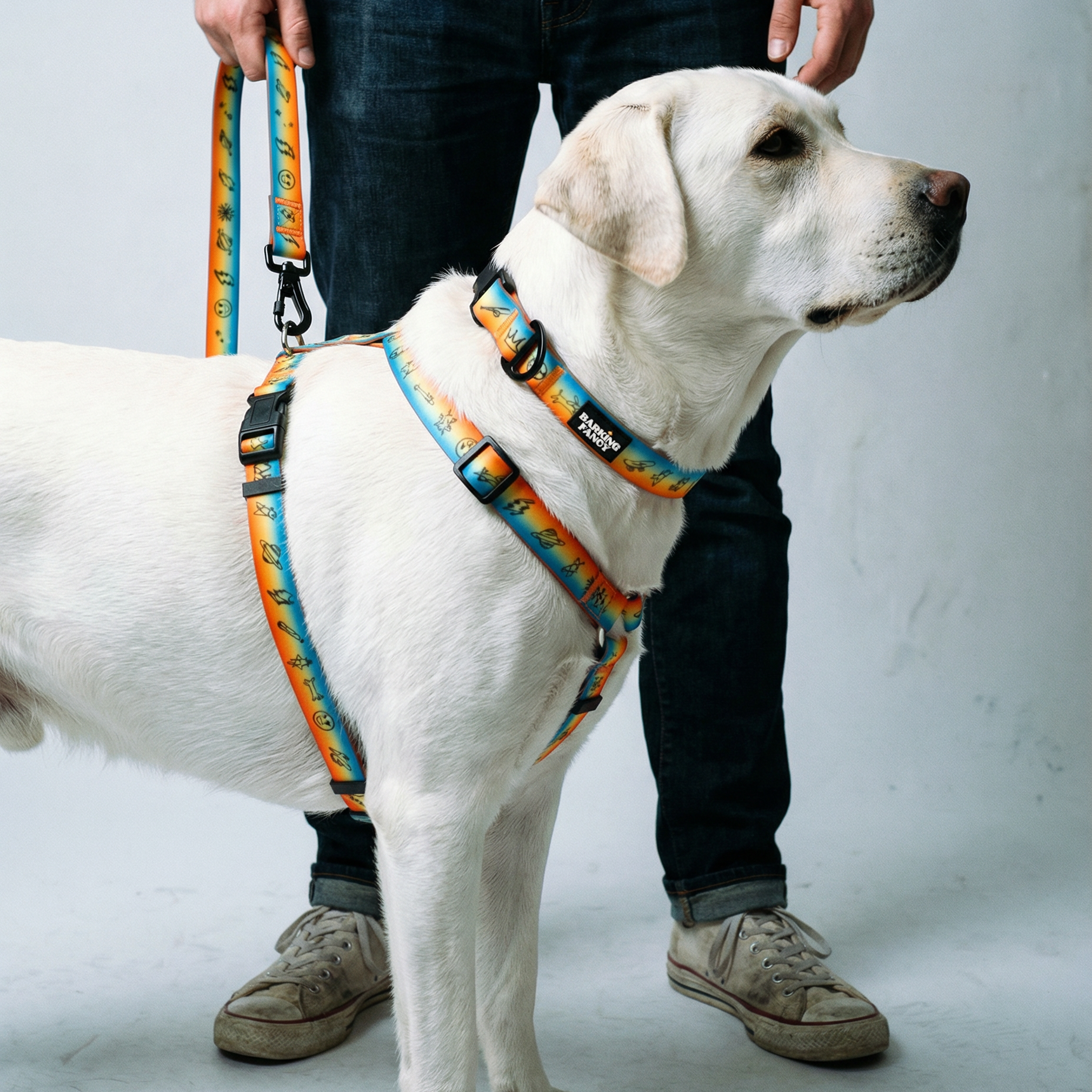 Doodles Print Waterproof Dog Harness - Orange Gradient