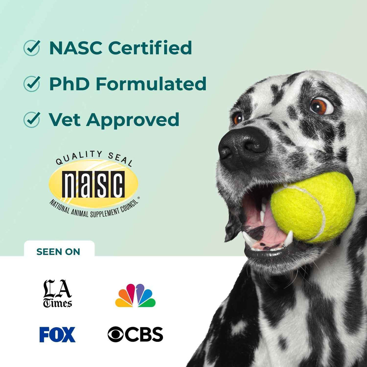 Fresh Breath Dental Powder for Dogs