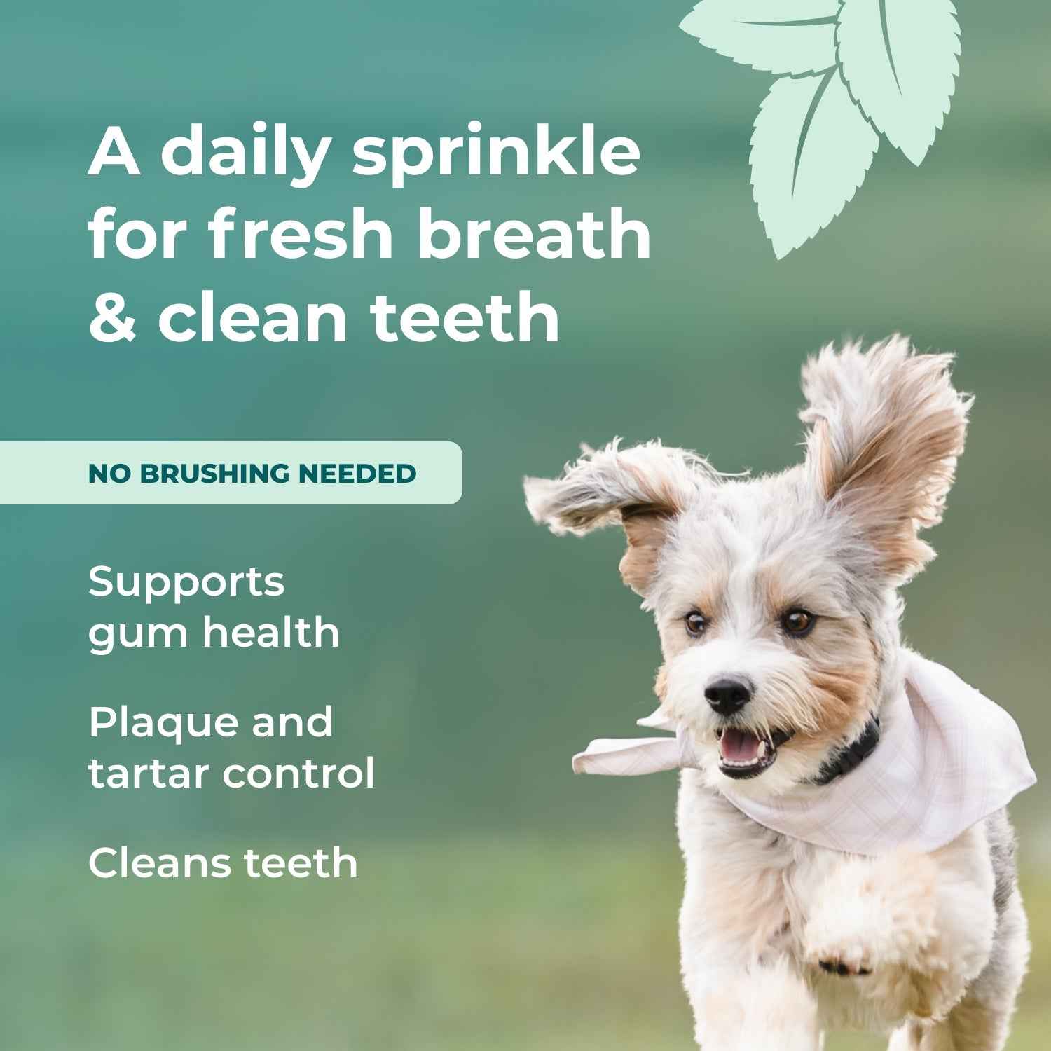 Fresh Breath Dental Powder for Dogs