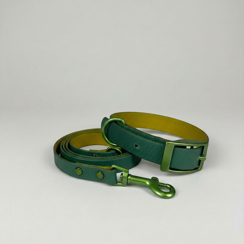 Jelly Waterproof Collar and Leash Set for Small Dogs