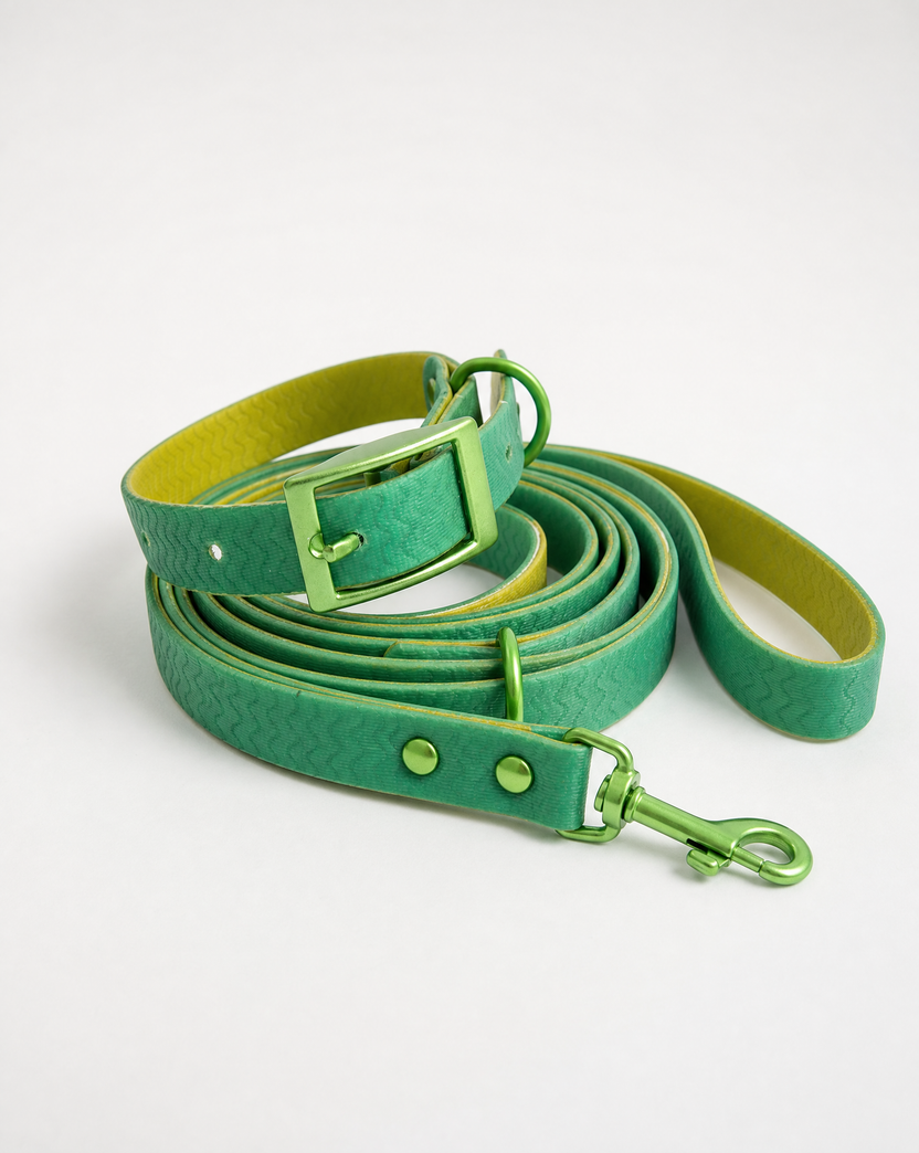 Jelly Waterproof Collar and Leash Set for Small Dogs (4 Colors)