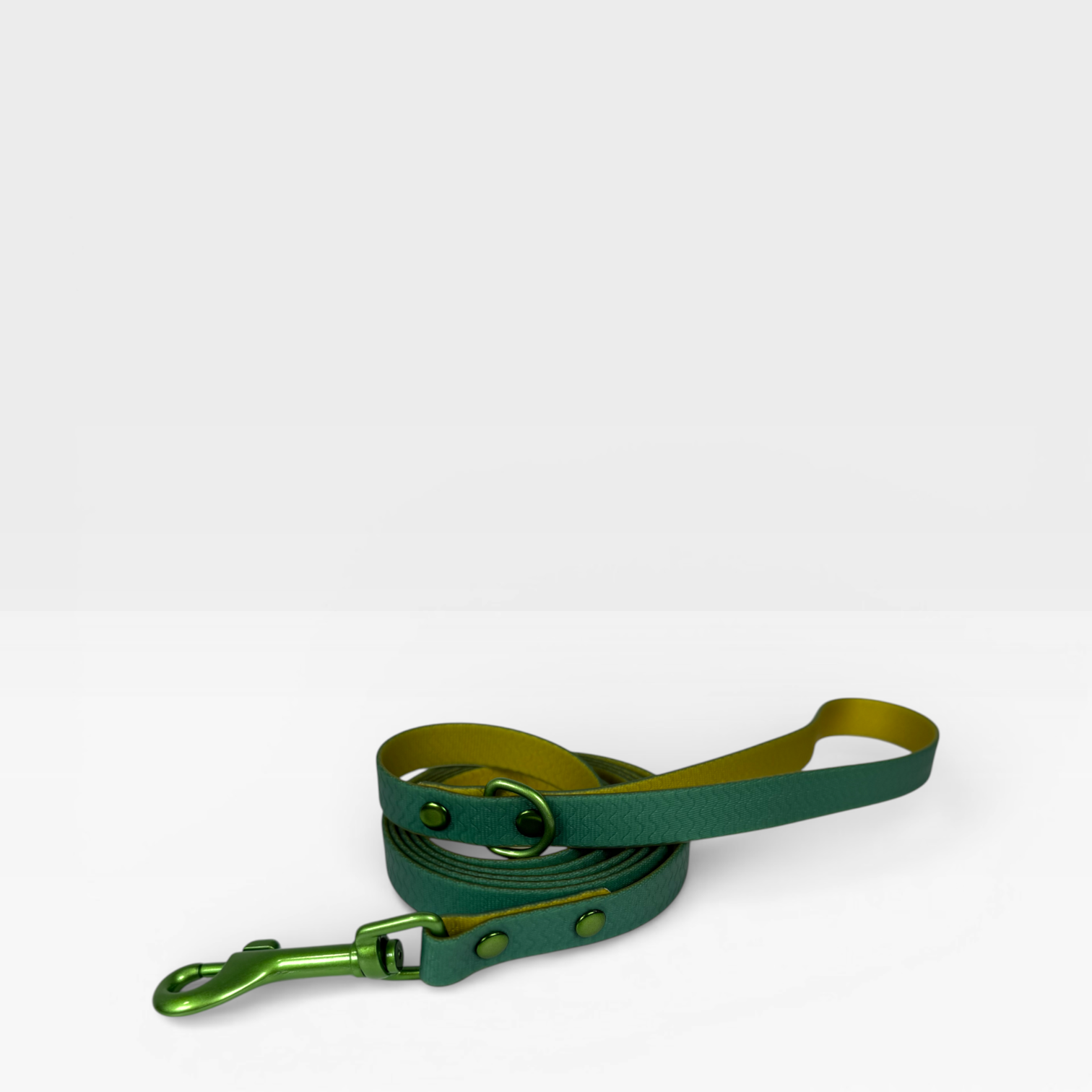 Blue Jelly Leash - Waterproof Leash for Small Dogs