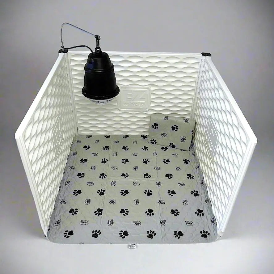 Bundles - EZclassic Starter Set EZwhelp