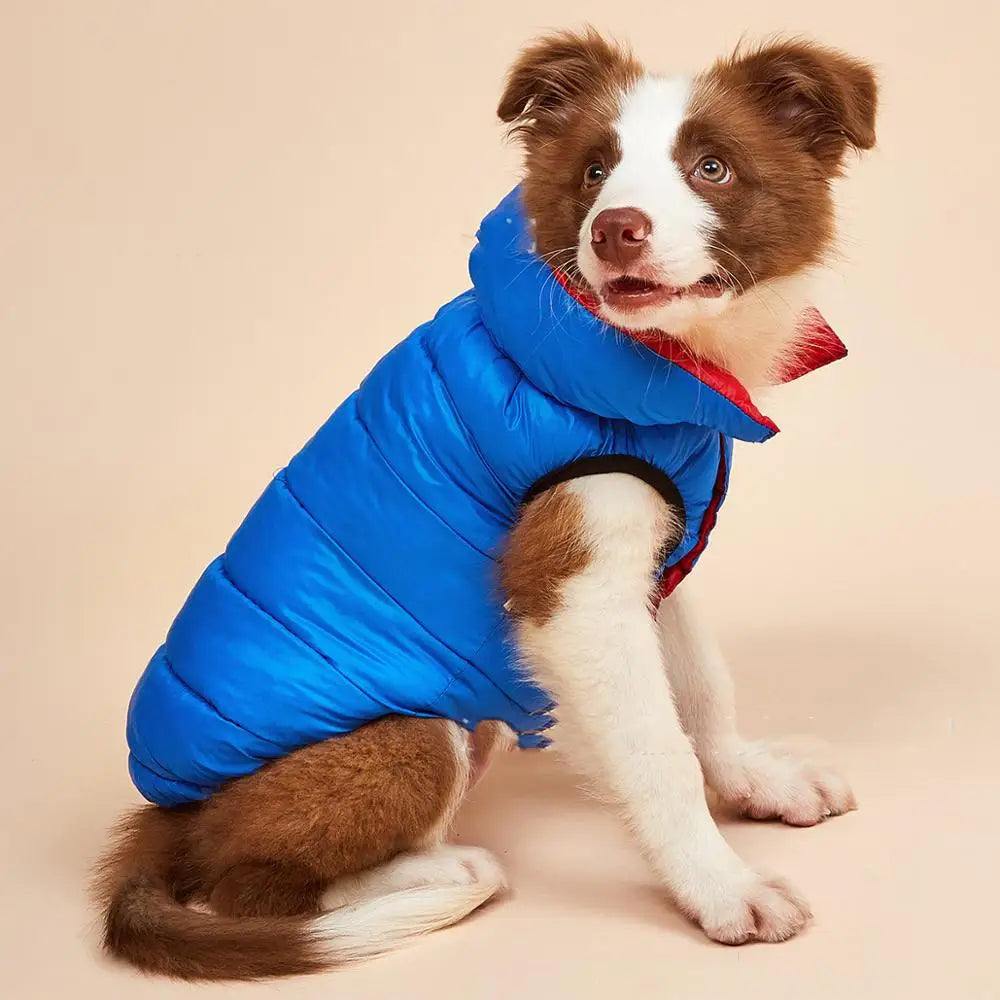 Autumn Winter New Pet Dog Clothes