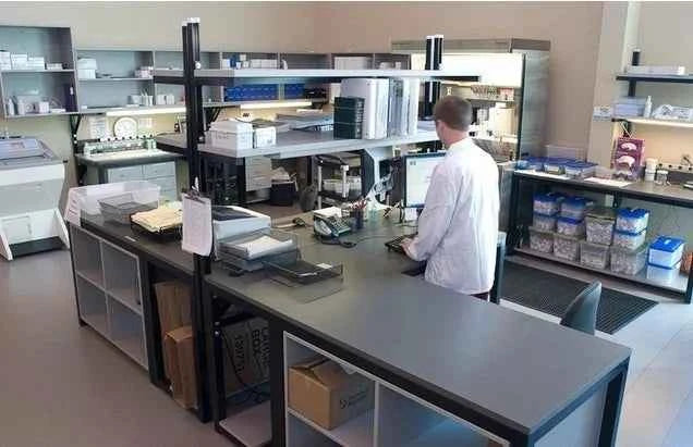 Guinea Pig Interleukin 23 (IL-23) ELISA Kit for Science Research