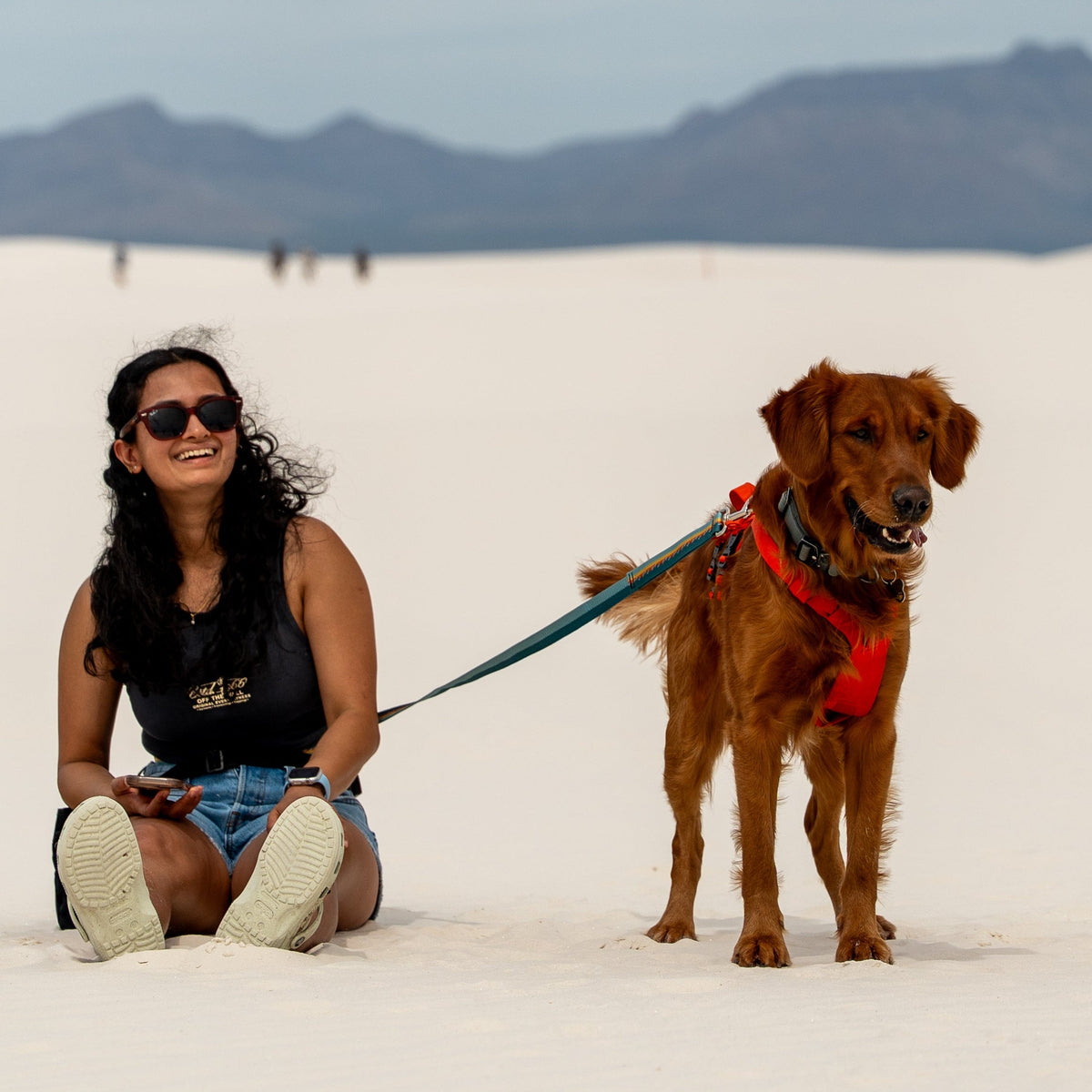 Adjustable Hands-Free Leash 1''