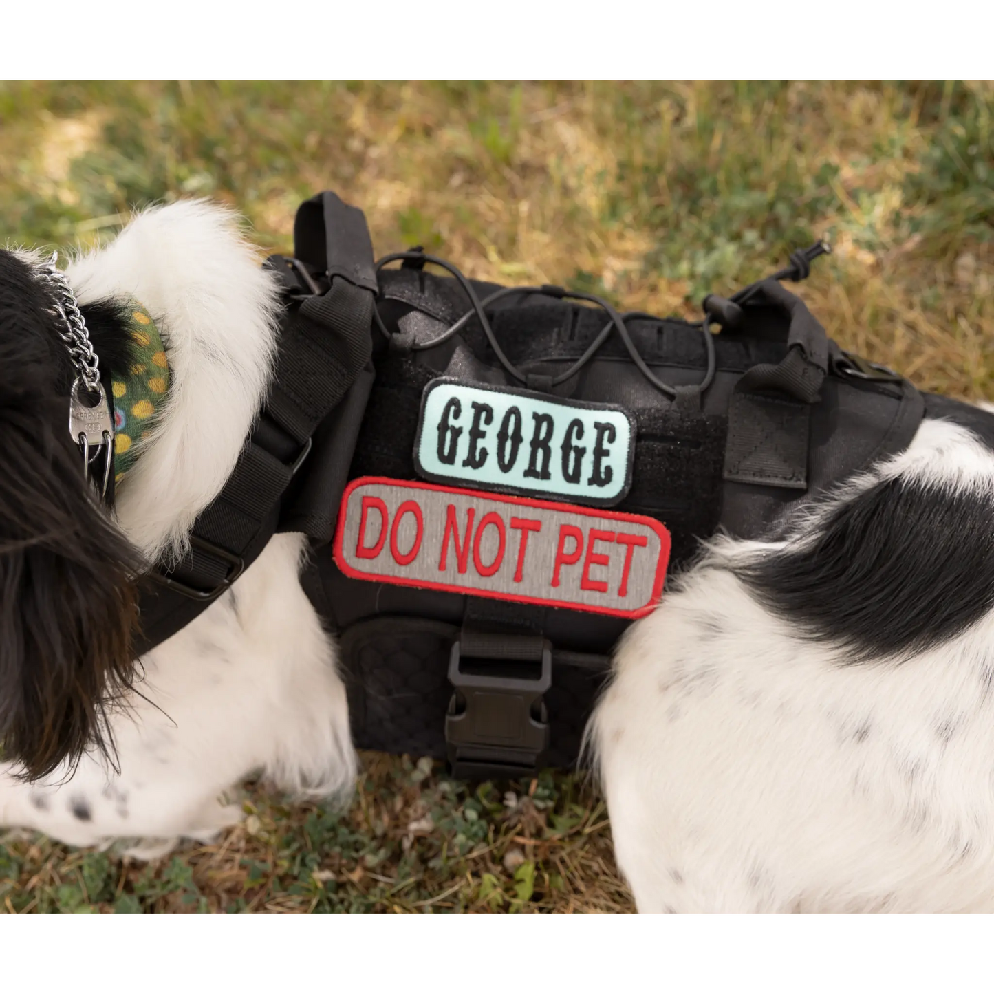 Custom K9 Mini Patch K9 Sport Sack