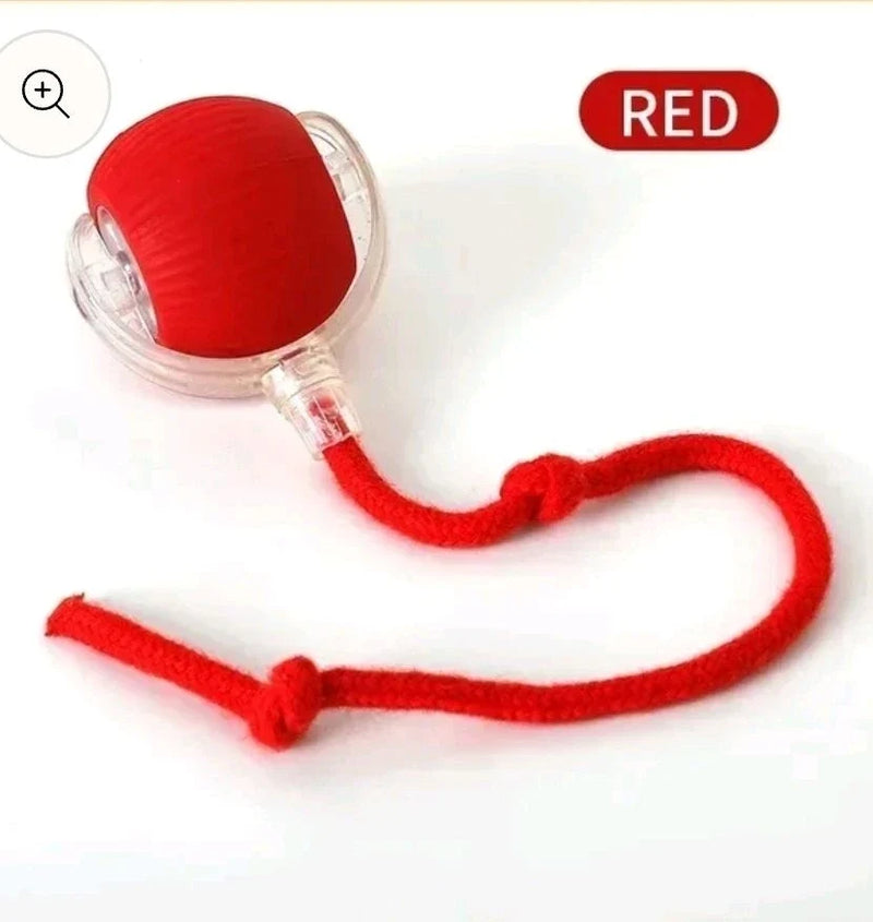 SR Interactive Rolling Smart Cat Ball Toy with Tail Accessory
