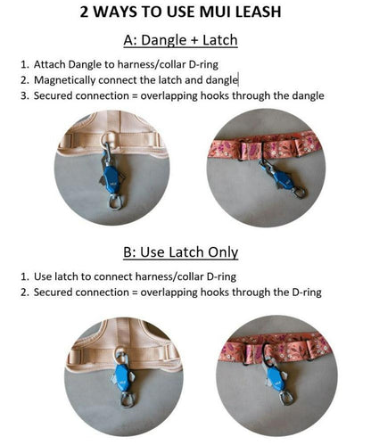 Patented Magnetic Dog Leash Up Dog Shop