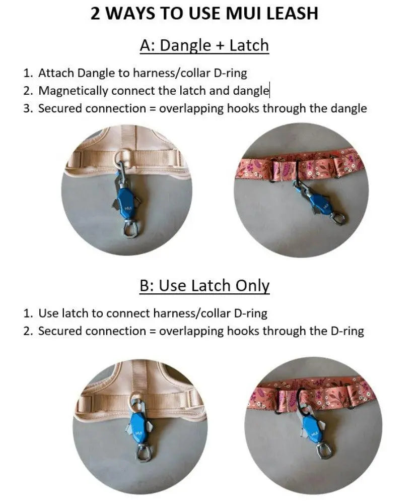 Patented Magnetic Dog Leash - One-Hand Connect & Release Up Dog Shop