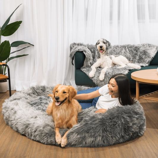 PupCloud™ Human-Size Dog Bed + Matching Waterproof Blanket Bundle - Charcoal Grey Paw.com