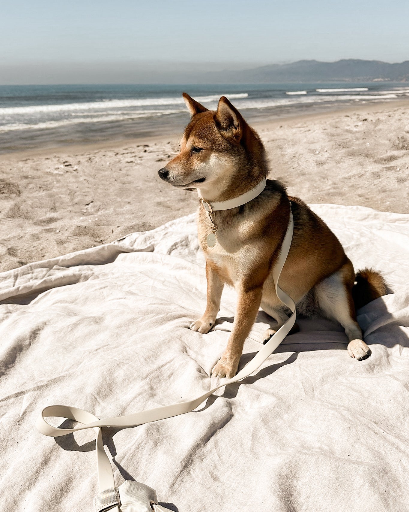 Elise Leash - Bone Elise Galleria