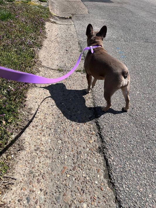 3/4 Inch Slip Leash Ulti-Mutt Toys